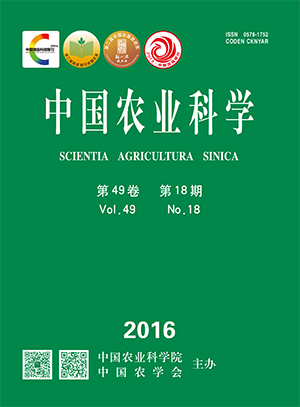 图片丢失啦