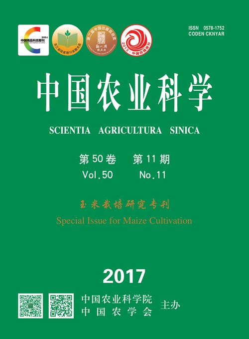 图片丢失啦